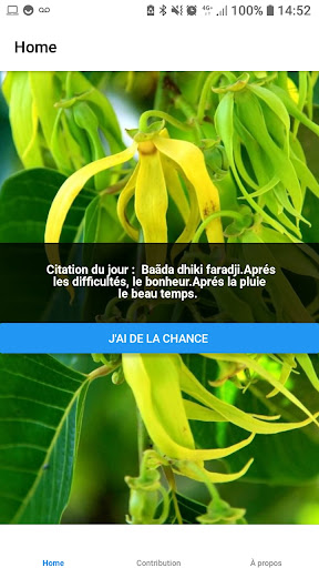 Android application Citation mahoraise screenshort