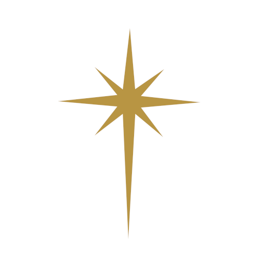 Bethlehem Society logo