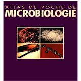 Atlas de Poche de Microbiologie icon