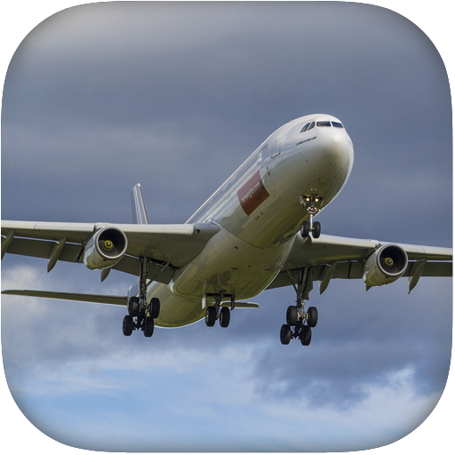 Flight Simulator Airplane
