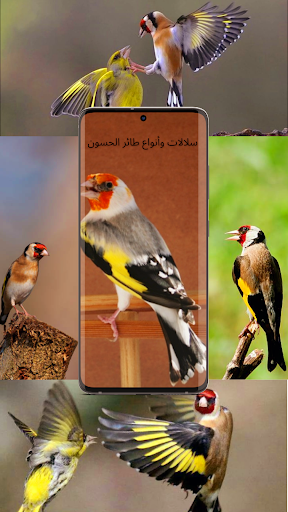 اجمل صوت تغريد حسون Screen 2