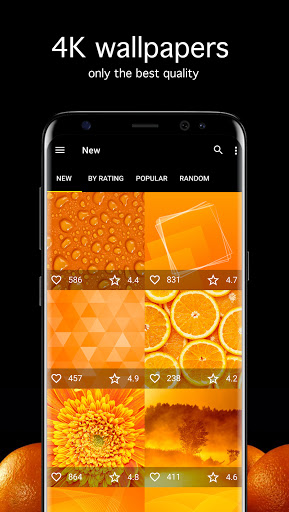 Screenshot of Orange Wallpapers 4K