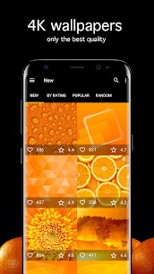 Orange Wallpapers 4K Mod Apk New 2022* 1