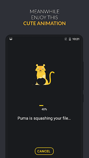 Puma: Photo Resizer Compressor - Photography - apps