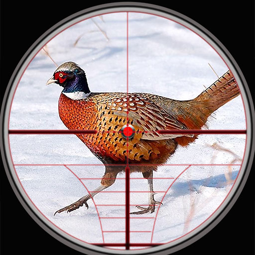 Pheasant birds hunting Games  Icon
