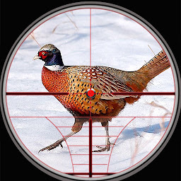 Icon image Pheasant Birds Hunting Games