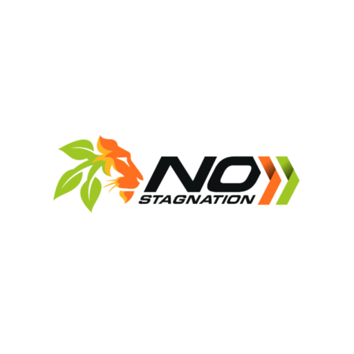 NoStagnation Academy logo