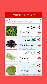 Arabic word book screenshot