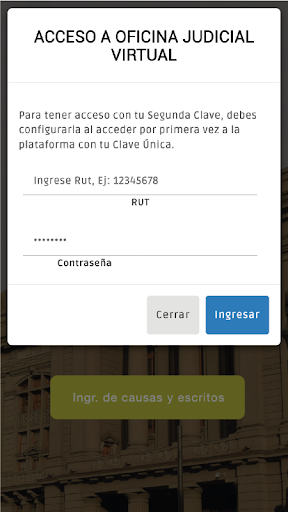 Oficina Judicial Virtual Screen 2