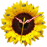 Sunflower Clock Live Wallpaper icon