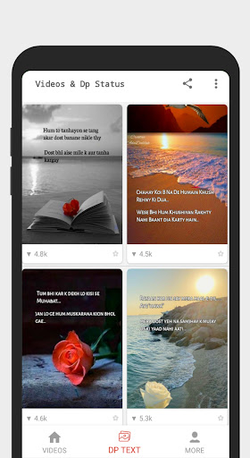 Full Screen Video Status - X Screen 2