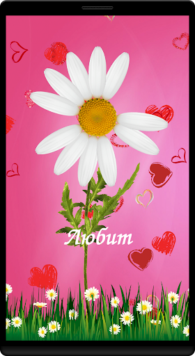 Любит не любит гадание Screen 2