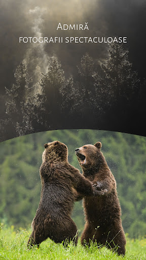 România Sălbatică Screen 3