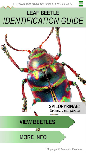 Android application Leaf Beetle ID Guide screenshort