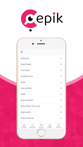 Cepik Screen 2
