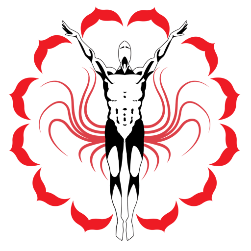 AAdiStudio logo