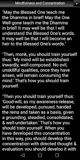 Mindfulness and Concentration Screen 3