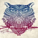 Owls Wallpapers icon