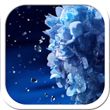 Water Flower Live Wallpaper icon