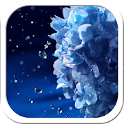 Water Flower Live Wallpaper  Icon