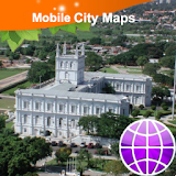 Asuncion Street Map icon