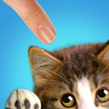 Teased Cat: Game icon