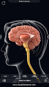 Brain Anatomy Pro. Apk Download 5
