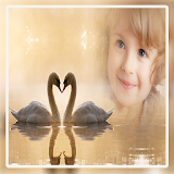 Birds Photo Frame icon