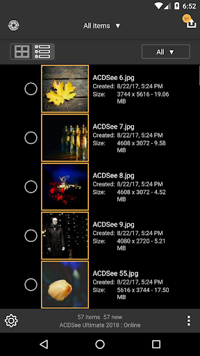 Screenshot of ACDSee Mobile Sync