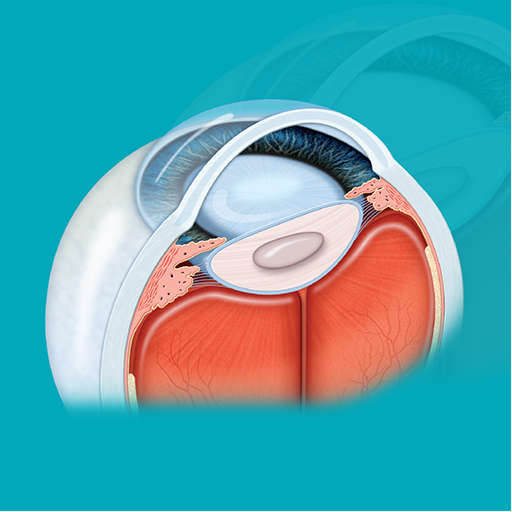 Mini Atlas Ophtalmologie