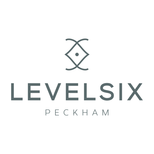 LEVELSIX logo