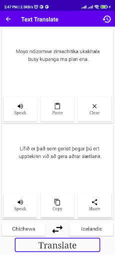 Chichewa Icelandic Translator Screen 2