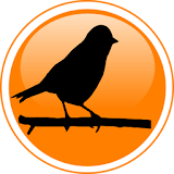 পাখঠ পালন -Pigeon, Koel, Duck icon