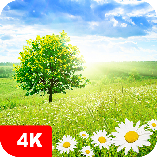 Nature Wallpapers 4K