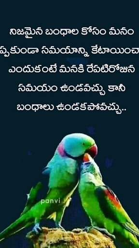 پیش نمایش برنامه