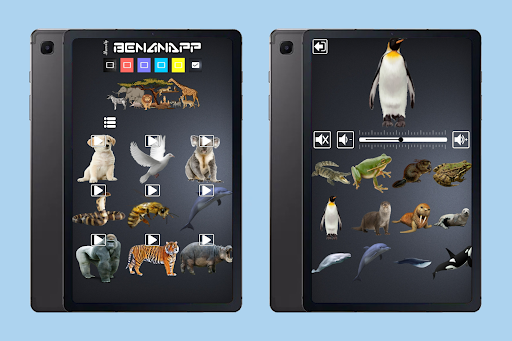 Animal Sounds screenshot 7