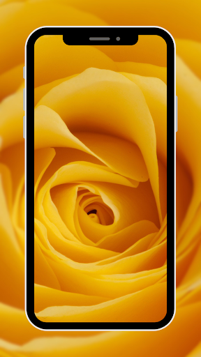 Flower Wallpaper Screen 3