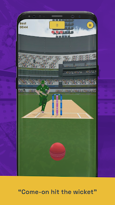 Run Out Champ: Hit Wicket Game - Screenshot 2