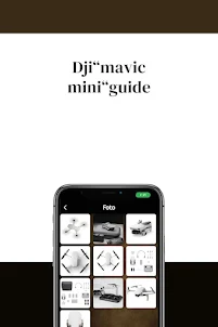 Dji“ Mavic mini“guide