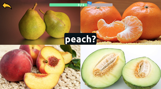 Learn Fruits Vegetables Screen 3