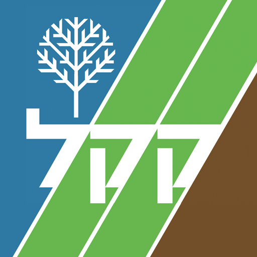 קקל דיווחים logo