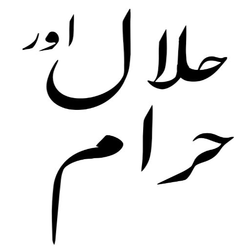 اسلامی لائبریری اردو logo