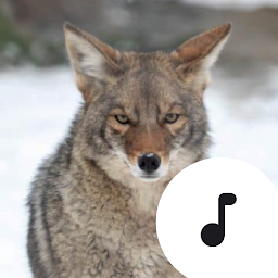 Icon image Coyote Sounds