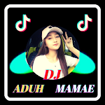 Cover Image of Baixar Dj Viral Tik Tok Aduh Mamae Full Album 2021 1.0 APK