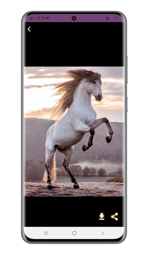 Android application خلفيات الحصان screenshort
