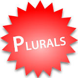 Singular Plural icon
