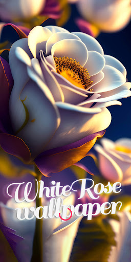 Android application white rose wallpaper screenshort