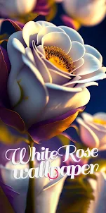 белые розы обои