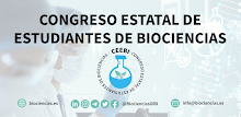 CEEBI APK
