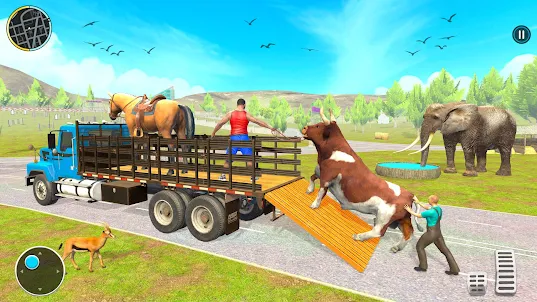Animals Transport Truck Driver